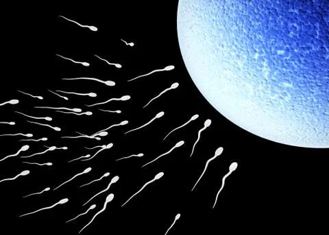Spermatozoons, floating to ovule Stock Illustration
