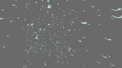 Spermatozoons. Sperm of stream. Isolated on solid. Alpha matte included. Stock-Footage 56575583