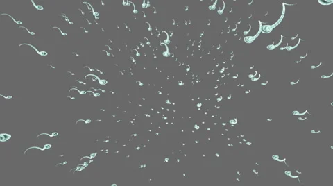Spermatozoons. Sperm of stream. Isolated on solid. Alpha matte included. Stock Footage 56575780