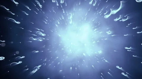 Spermatozoons. Sperm stream. Organic background. Realistic 3d animation Stock Footage 56575746