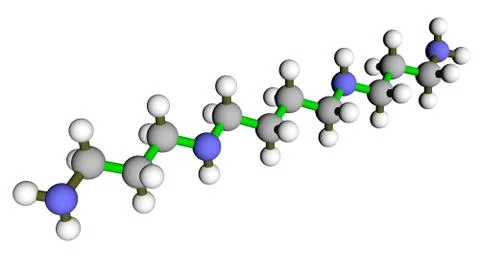 Spermine molecular structure Stock Illustration