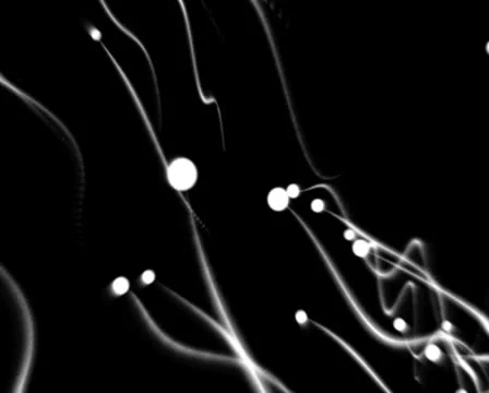 Sperms - Germs Stock Footage 24805151