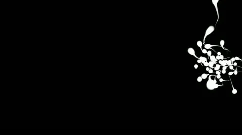Sperms HD Stock Footage 11053758