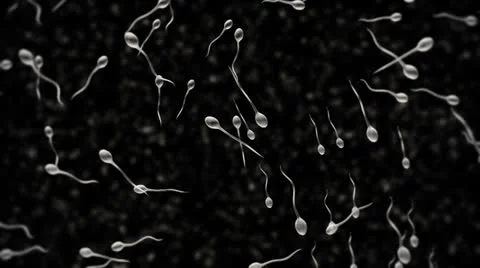 Sperms Top Black Stock Footage 23458902