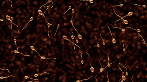 Sperms Top Red HD Stock Footage 23458954