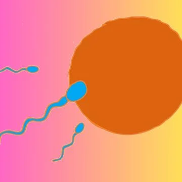 Sperms trying to enter into ovum fertilization process science illustration - Stock Illustration