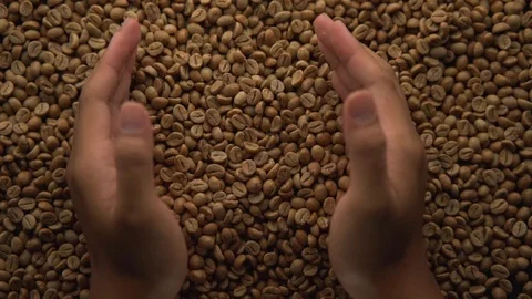 Spewing roasted coffe beans to a pile of coffe Video stock 116231889