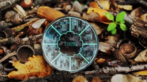 A sphere against the background of fallen leaves in the forest. Efficiency scale Stock Footage 306871575