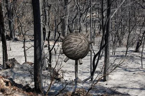 Sphere in burned forest Stock Illustration