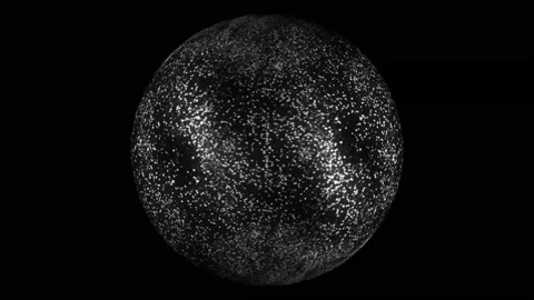 Sphere, white color, chaotic dots, many, waves, sand, dust, particles, swirling Stock Footage 236088922