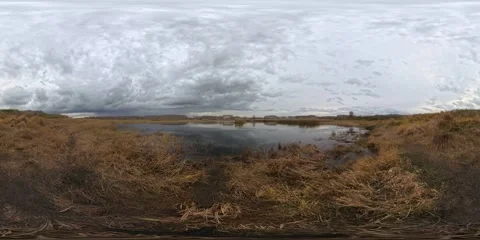 Spherical 360-degree equirectangular panorama capturing a tranquil swamp Video stock 308232560