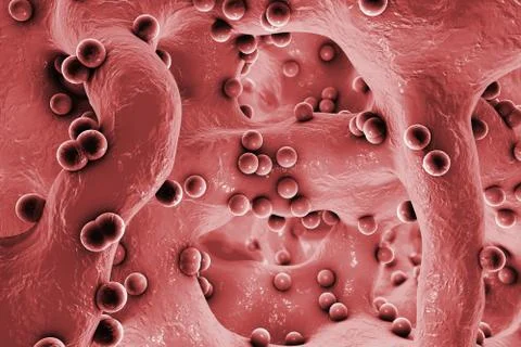 Spherical bacteria inside bone tissue Illustrazione stock