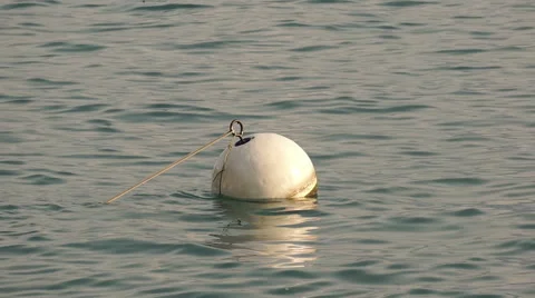 Spherical buoy on the waves Stock Footage 46441747