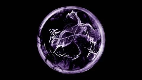 Spherical core of singularity, vj and dj 스톡 동영상 198943343