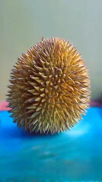 Spherical Durian Fruit Texture Macro Photos