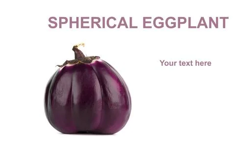 Spherical eggplant on white background with customizable text space. Stock Illustration
