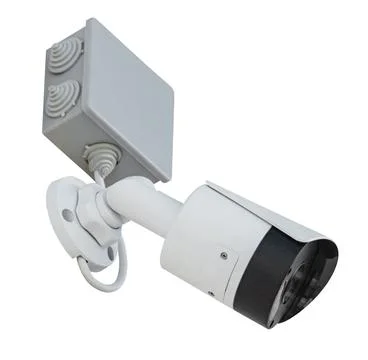 Spherical IP security camera on white Stock Photos