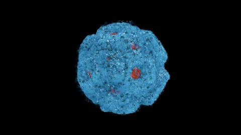 Spherical Macro Bacterium On A Transparent Background Stock Footage 121008014