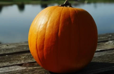 Spherical orange-colored pumpkin, presented decoratively Stock Photos