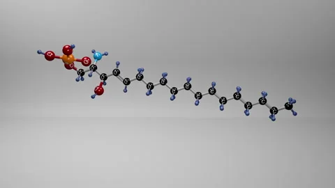 Sphingosine-1-phosphate molecule. Stock Footage 319352409