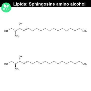 Sphingosine alcohol molecule Stock Illustration