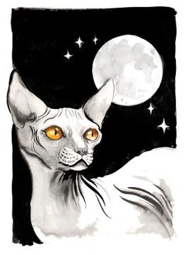 Sphinx cat and moon Illustrazione stock