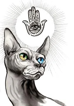 Sphinx cat Illustrazione stock