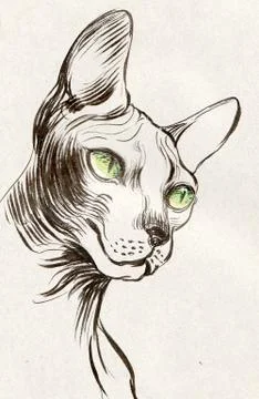 Sphinx cat Stock Illustration