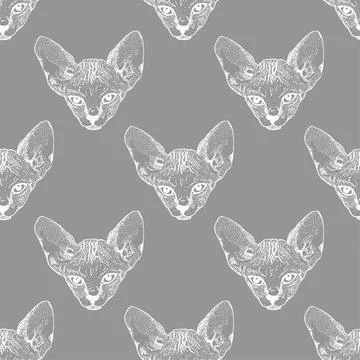 Sphinx cat seamless pattern sketch graphics on grey background. Prints for Stock Illustration