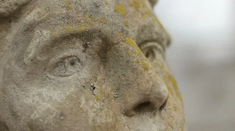 Sphinx face Stock Footage 48818550