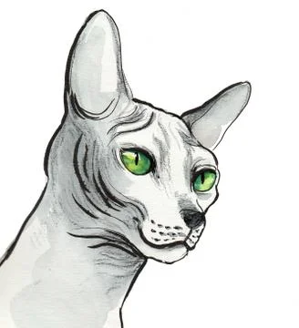 Sphinx head Illustrazione stock