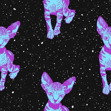 Sphinx kittens. The cats on the background of the night starry sky, space Stock Illustration