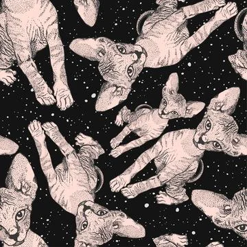 Sphinx kittens. The cats on the background of the night starry sky, space Stock Illustration