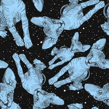 Sphinx kittens. The cats on the background of the night starry sky, space Stock Illustration