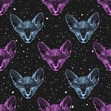 Sphinx kittens. The heads cat on the background of the starry sky, space. Prints Stock Illustration