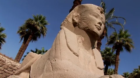 A sphinx in luxor temple Stock Footage 70838476