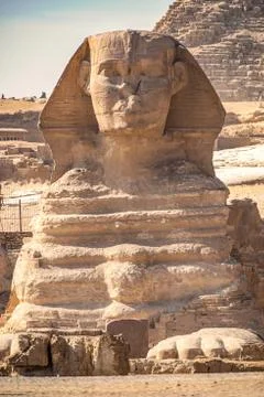 Sphinx monument against the background of large pyramids on a sunny day Stock Photos