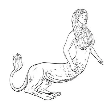 Sphinx Side View Medieval Drawing Stock Illustration