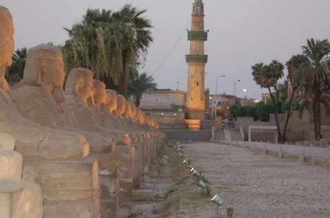Sphinx (Sphinxes) Egypt at sunset Stock Photos