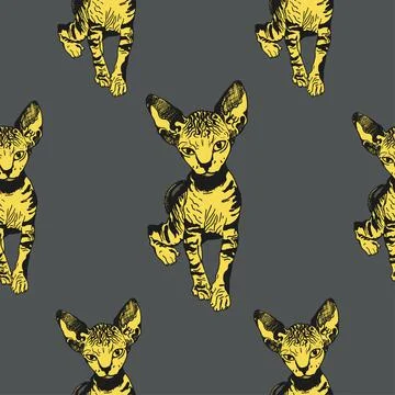 Sphinx yellow cat seamless pattern. The cat is spotty. Striped sketch graphics Stock Illustration