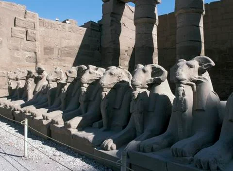 Sphinxes, temple of karnak, egypt Stock Photos