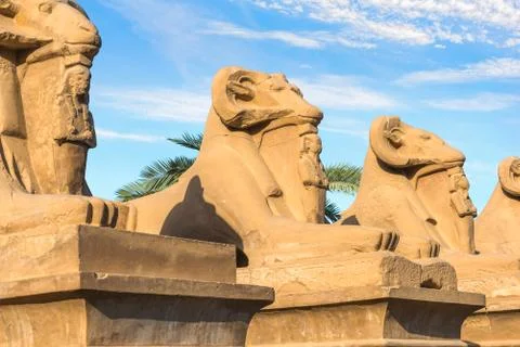 Sphinxes under clouds Stock Photos