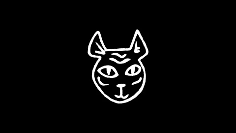 Sphynx Cat Hairless Icon Stock Footage 345592764