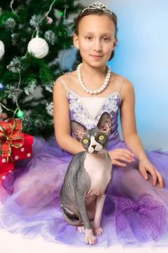 Sphynx Cat looking at camera, sitting near girl in purple dress on background of Stock Photos