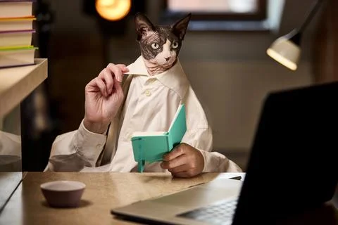 Sphynx cat with notebook looking curious in office study setup Stock-Fotos