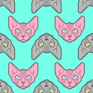 Sphynx cat pattern seamless. Pet background. Home animal texture. vector orna Stock Illustration