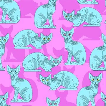Sphynx cat pattern seamless. Pet background. Home animal texture. vector orna Stock Illustration