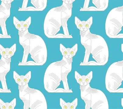 Sphynx cat pattern seamless. Pet background. Home animal texture. vector orna Stock Illustration