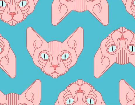Sphynx cat pattern seamless. Pet background. Home animal texture. vector orna Stock Illustration