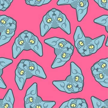 Sphynx cat pattern seamless. Pet background. Home animal texture. vector orna Stock Illustration